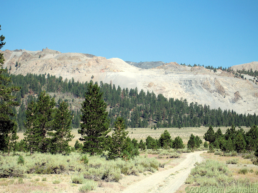 Californa, Mono County, Mono Craters, East Craters Sand Flat