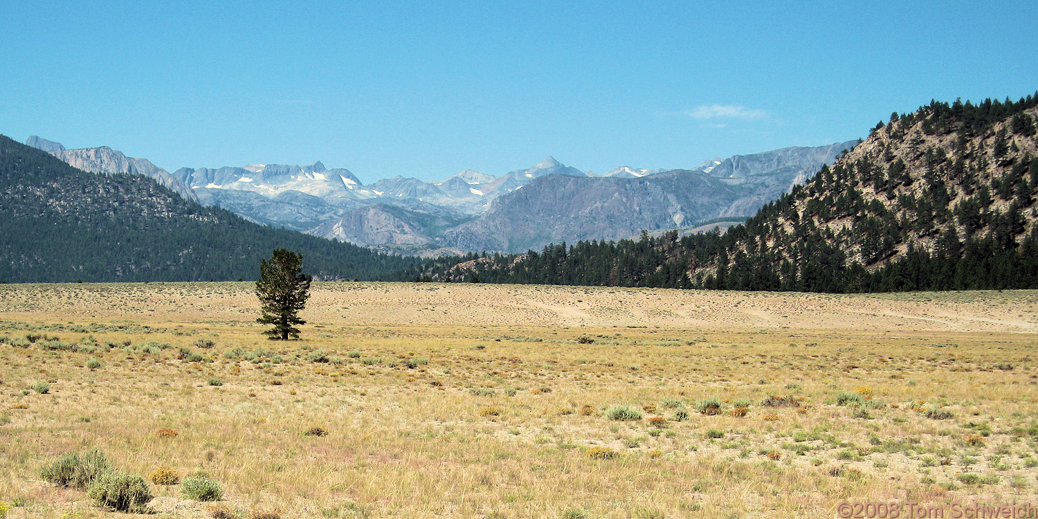 Californa, Mono County, East Craters Sand Flat