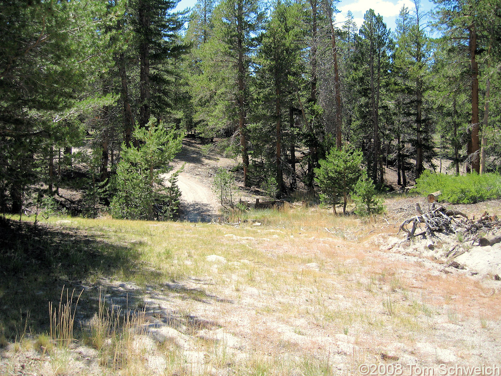 Californa, Mono County, Pilot Spring