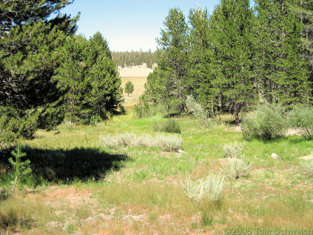 Californa, Mono County, Crooked Meadows