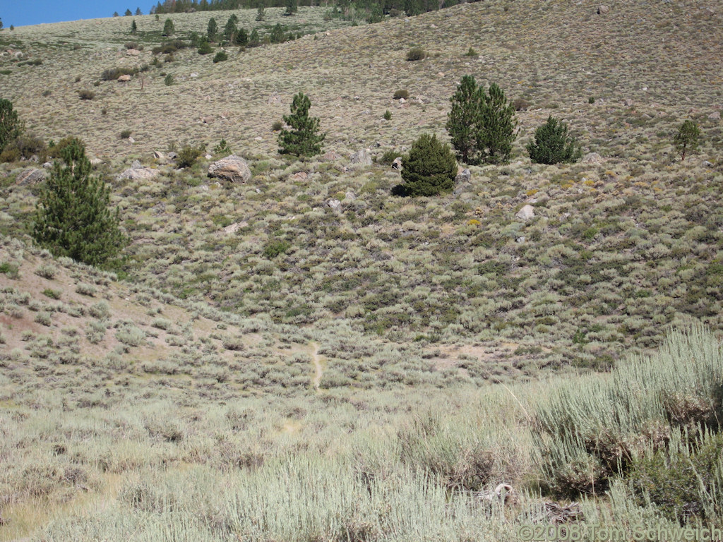 Californa, Mono County, Reversed Peak, Snow Ponds