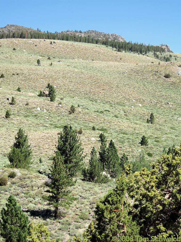 Californa, Mono County, Reversed Peak