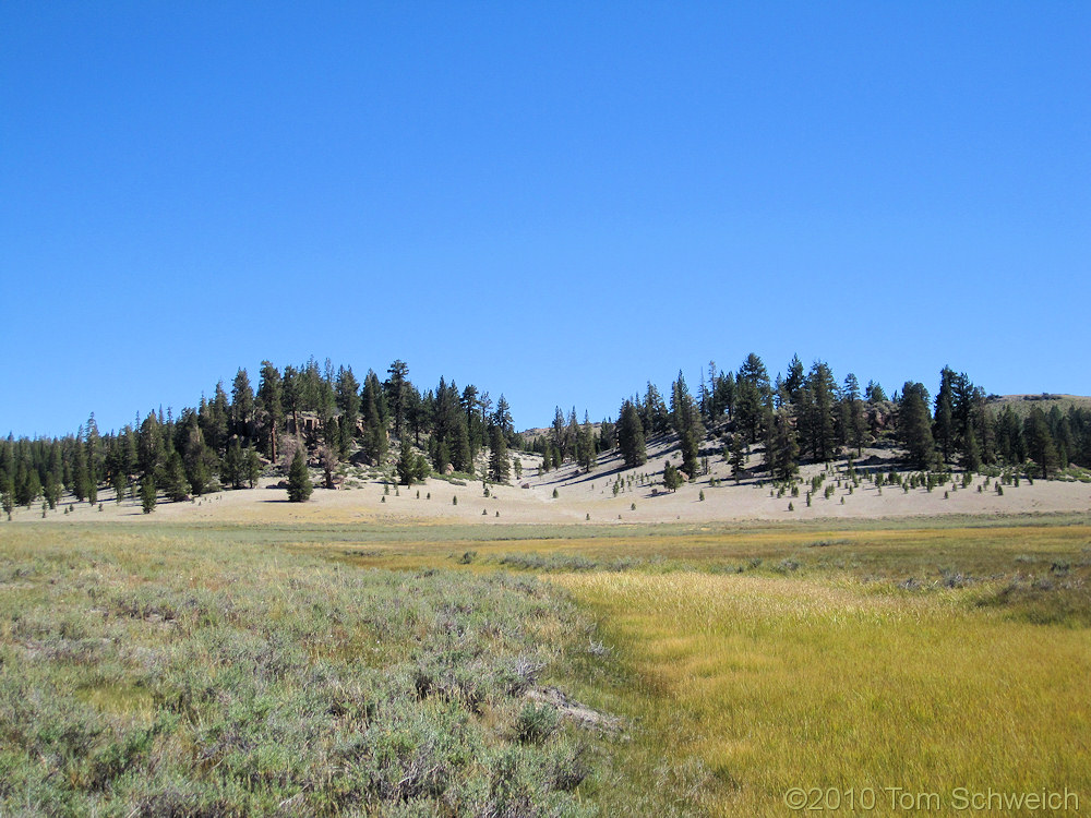 California, Mono County, Crooked Meadows