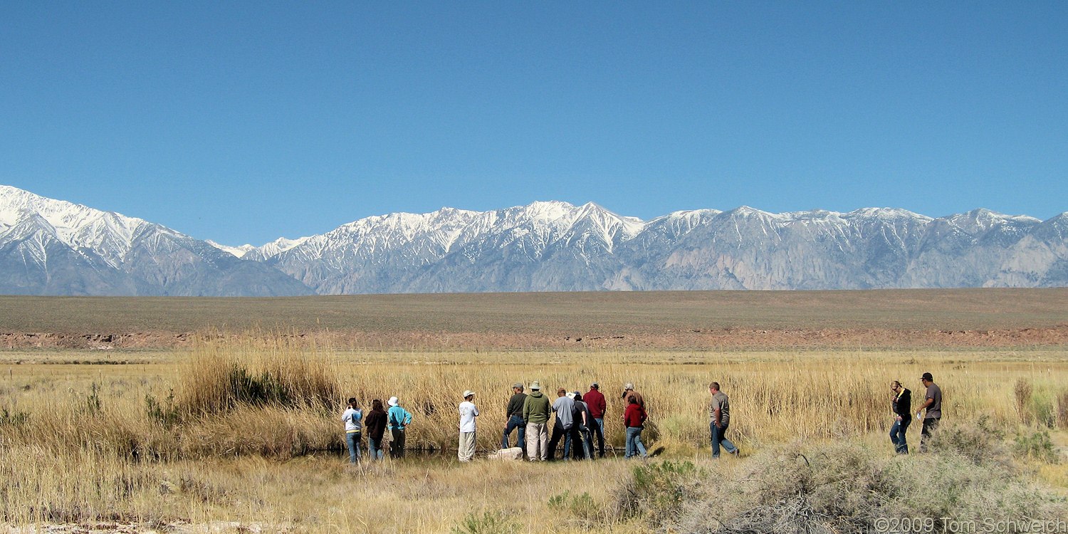 California, Inyo County, Fish Slough