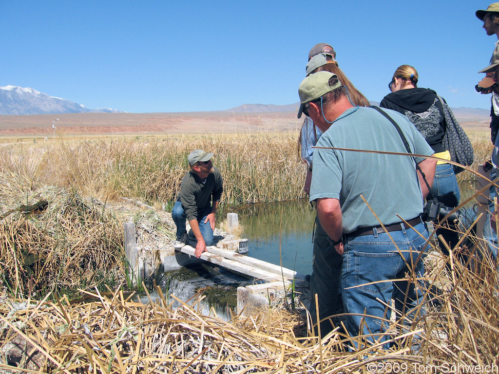 California, Inyo County, Fish Slough