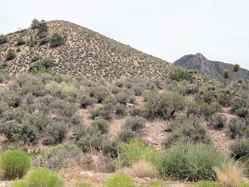 Whitney Pass, Virgin Mountains, Clark County, Nevada