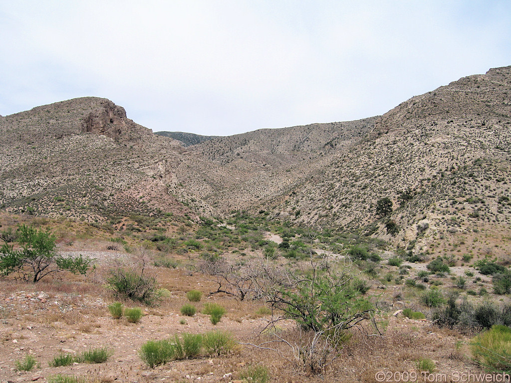 Nay Canyon, Virgin Mountains, Clark County, California