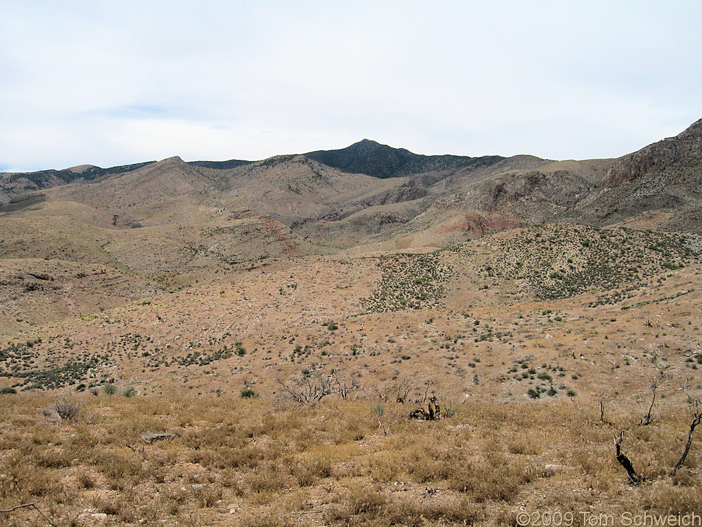 Yant Pit Canyon, Virgin Mountains, Clark County, California