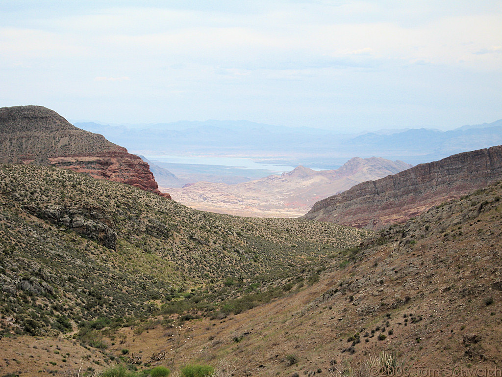 Lake Mead, Clark County, Nevada