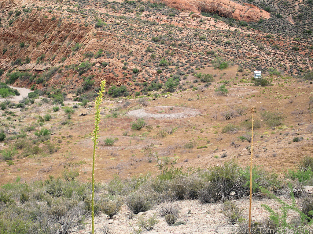 Yant Pit Canyon, Virgin Mountains, Clark County, California