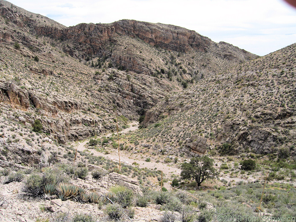 Nay Canyon, Virgin Mountains, Clark County, Nevada