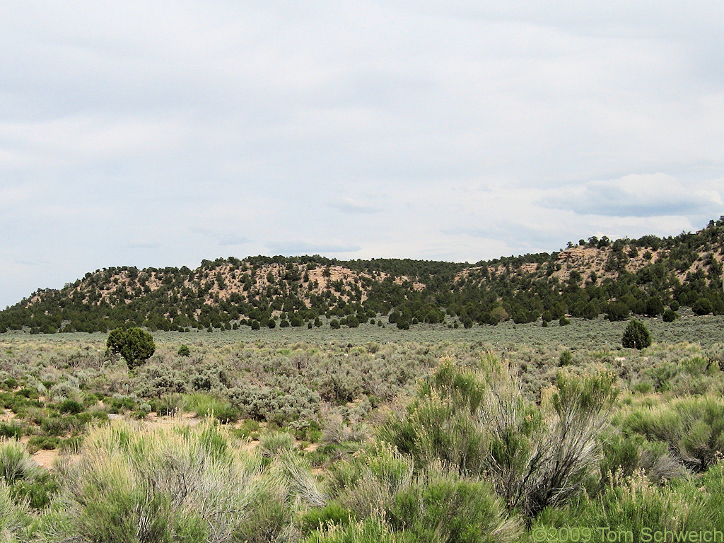 Acoma, Lincoln County, Nevada