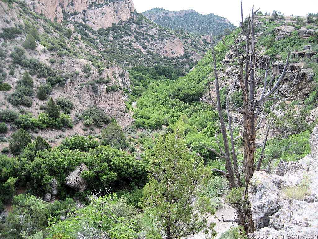 Beaver Dam State Park, Lincoln County, Nevada