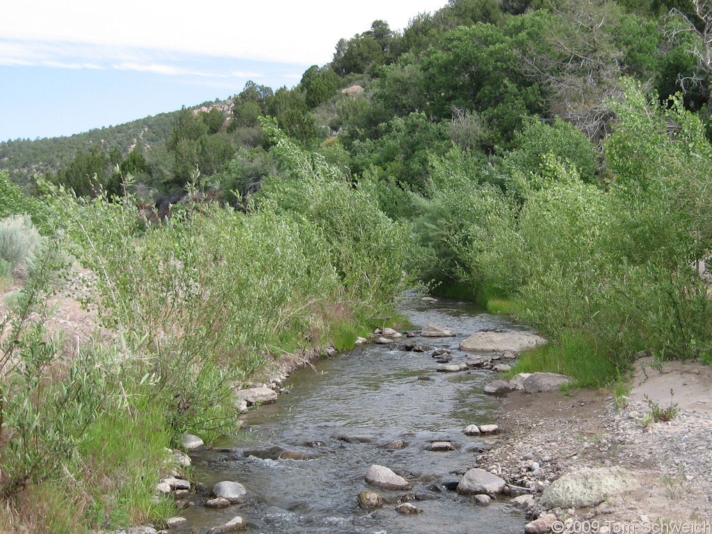 Beaver Dam State Park, Lincoln County, Nevada