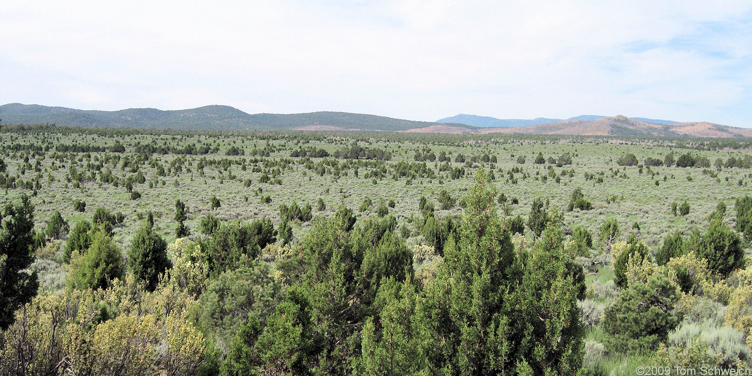 Beaver Dam Flat, Lincoln County, Nevada