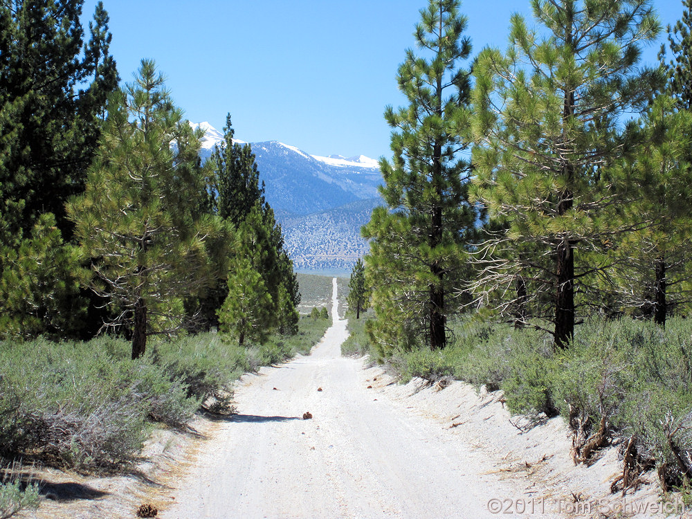 Fairview Range, Lincoln County, Nevada