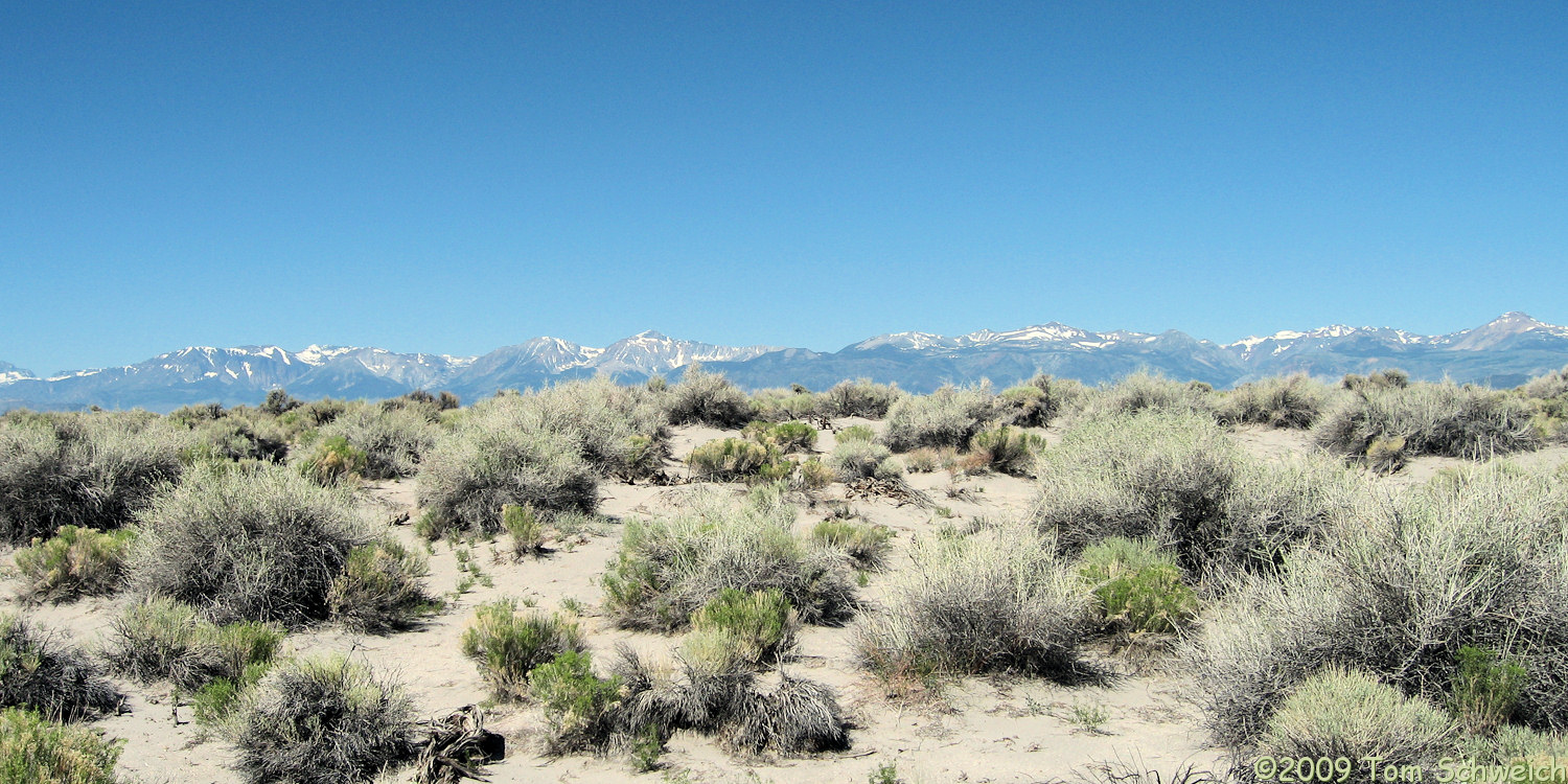 Mono County, California