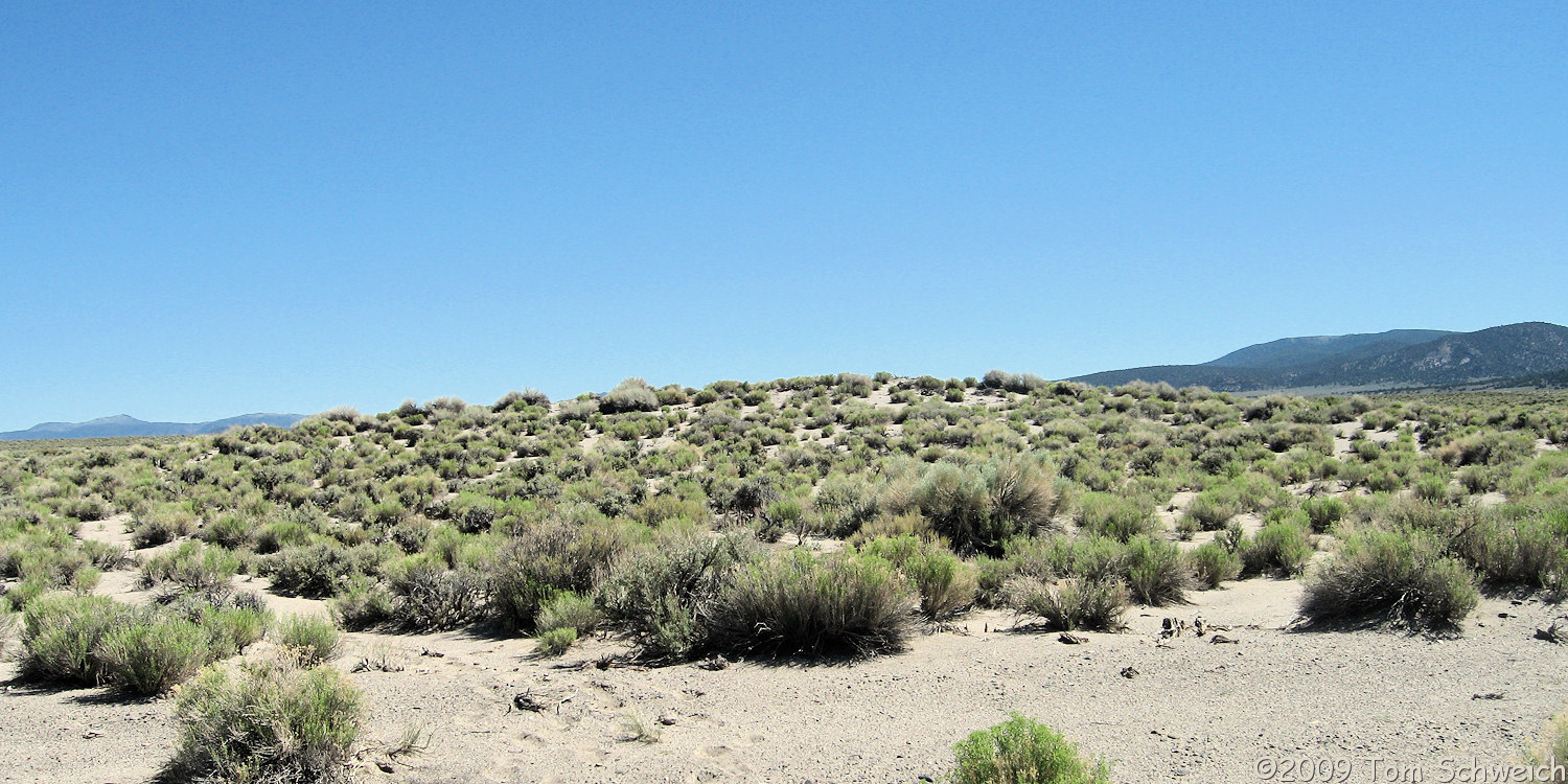 Mono County, California