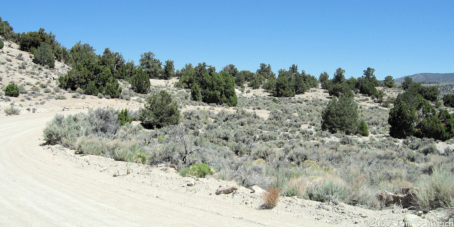 Mono Valley, Mono County, California