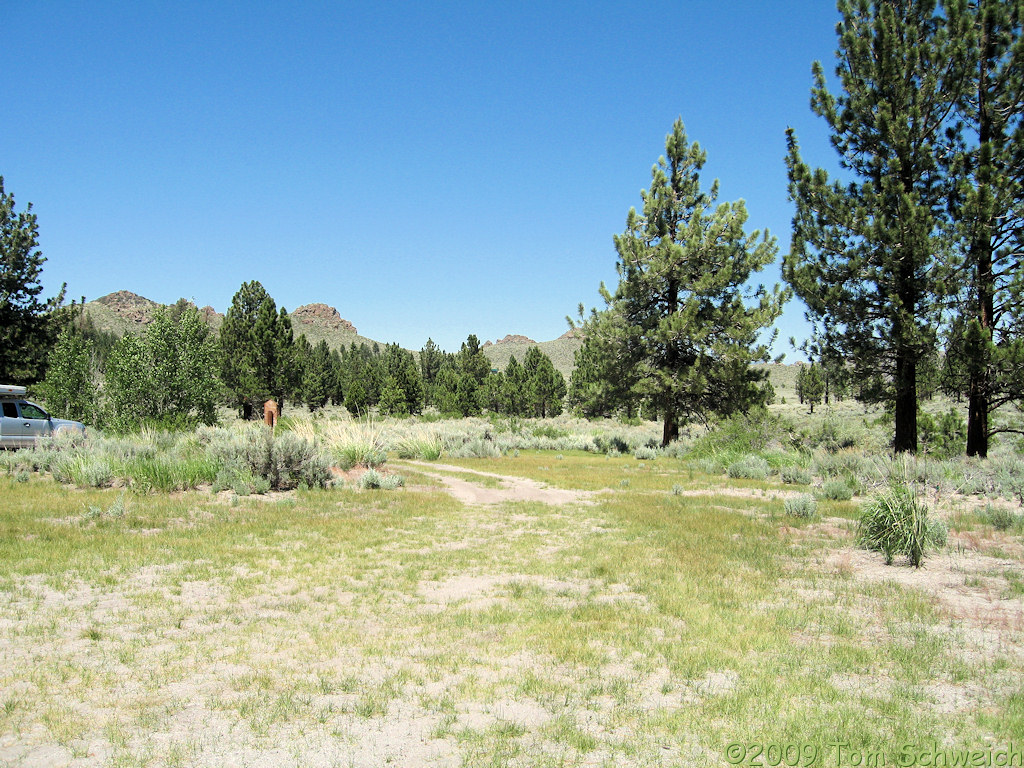 Sagehen Meadow Campground, Mono County, California