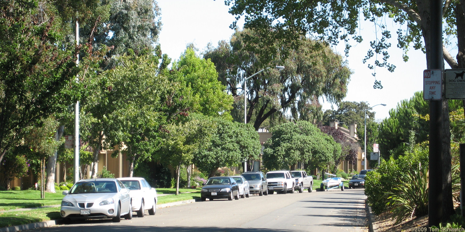 Catalina Avenue, Alameda, Alameda County, California