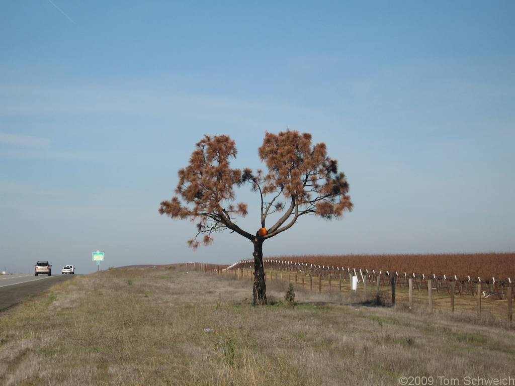 San Lucas, Monterey County, California