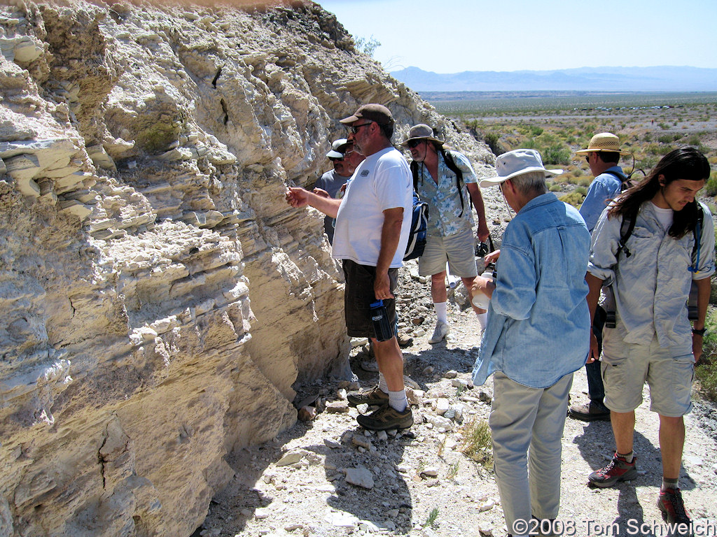 California, San Bernardino County, Bristol Lake, Bouse Formation