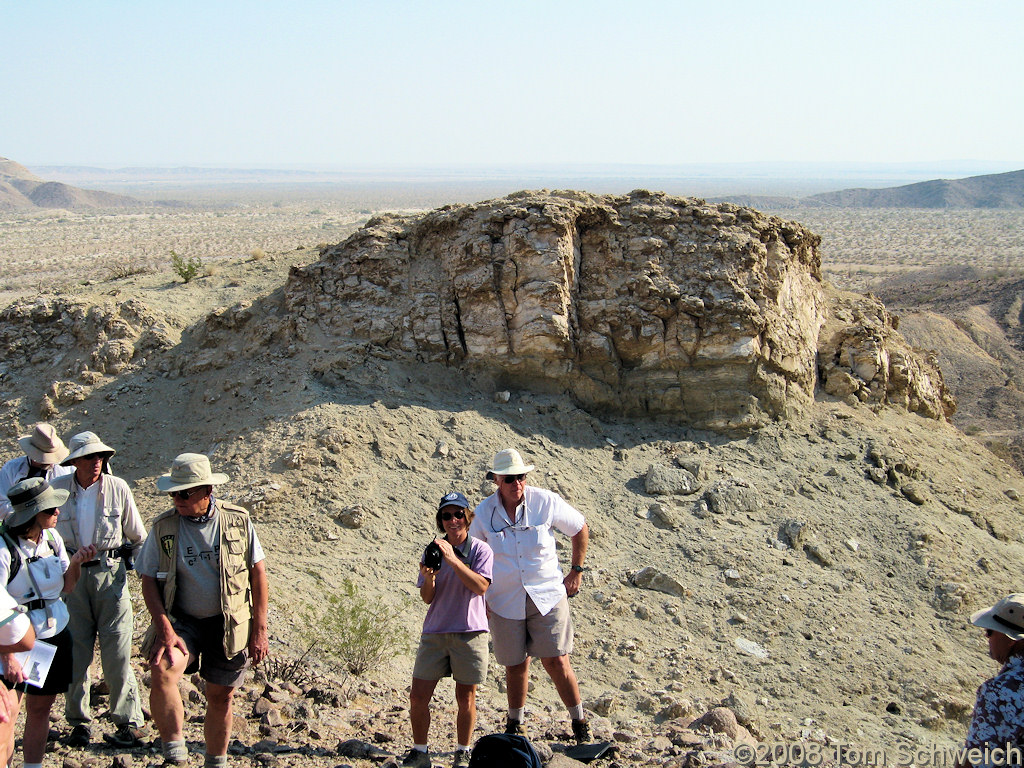 California, San Diego County, Anza Borrego State Park, Fish Creek