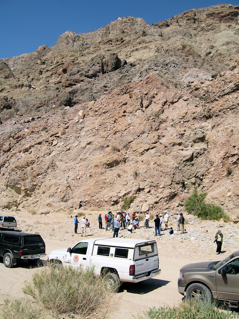 California, San Diego County, Anza Borrego State Park, Fish Creek