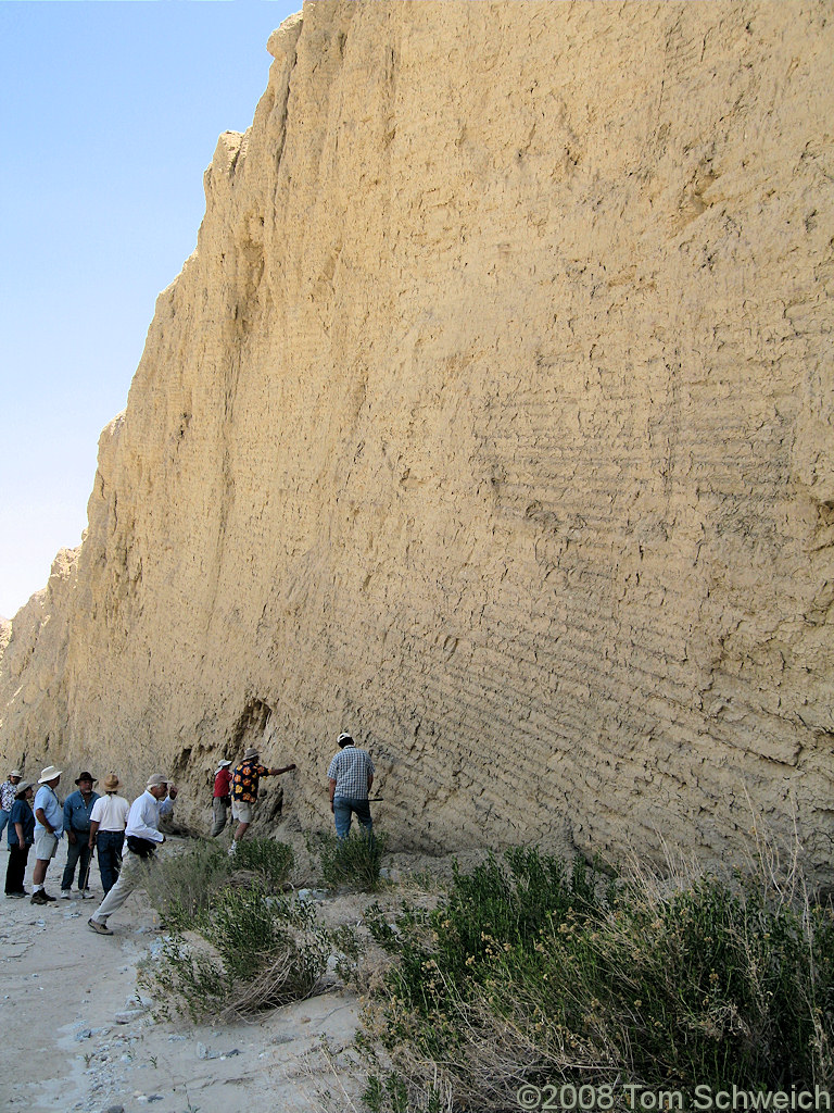 California, San Diego County, Anza Borrego State Park, Fish Creek