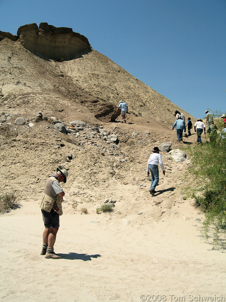 California, San Diego County, Anza Borrego State Park, Fish Creek