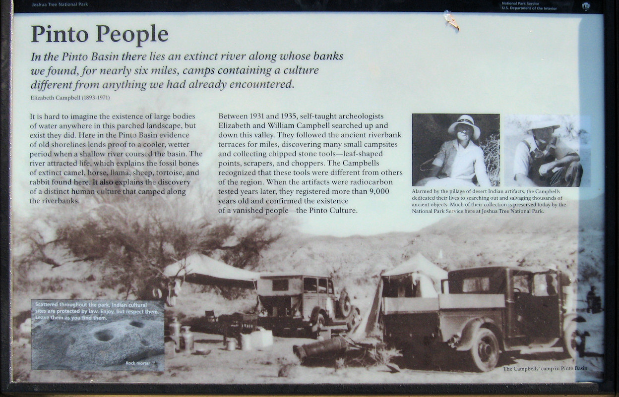 California, Riverside County, Joshua Tree National Park, Pinto Basin