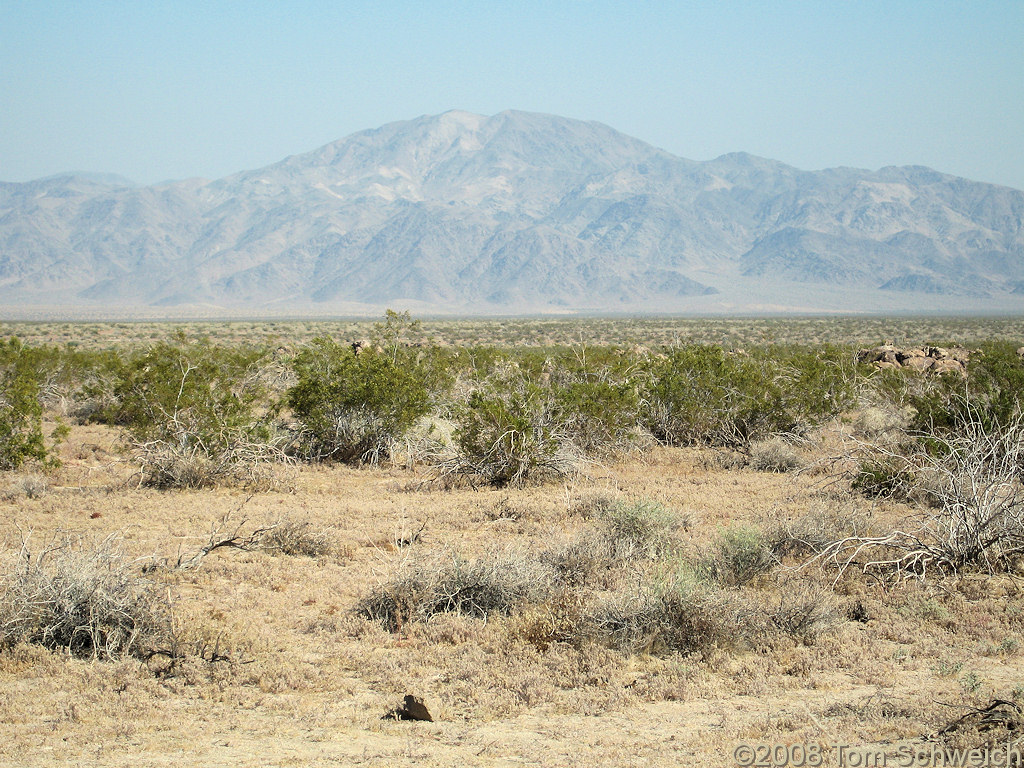 California, Riverside County, Joshua Tree National Park, Pinto Basin