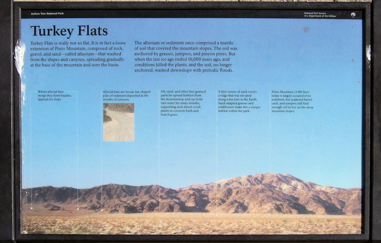 California, Riverside County, Joshua Tree National Park, Turkey Flats