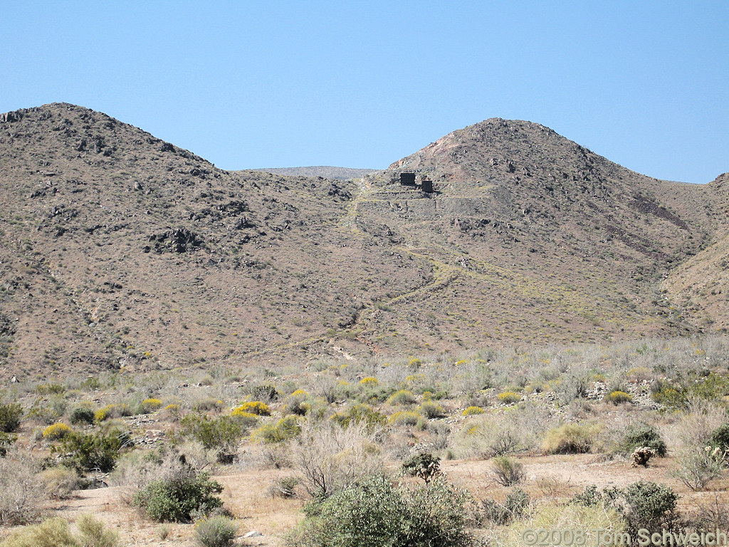 California, Riverside County, Joshua Tree National Park, Turkey Flats