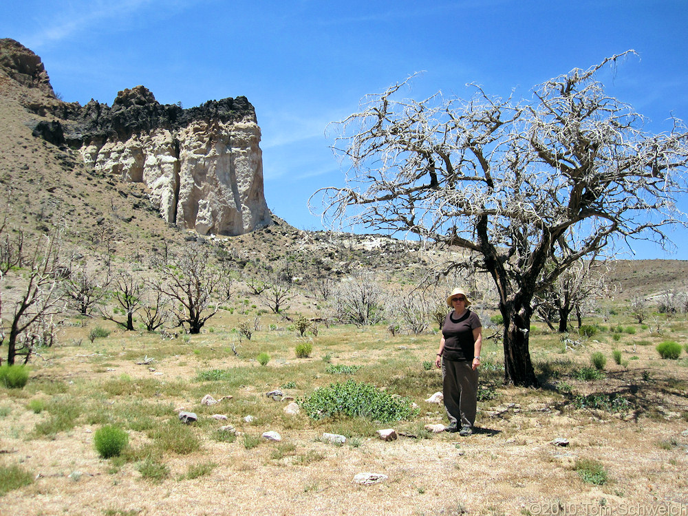 California, San Bernardino County, Lobo Point