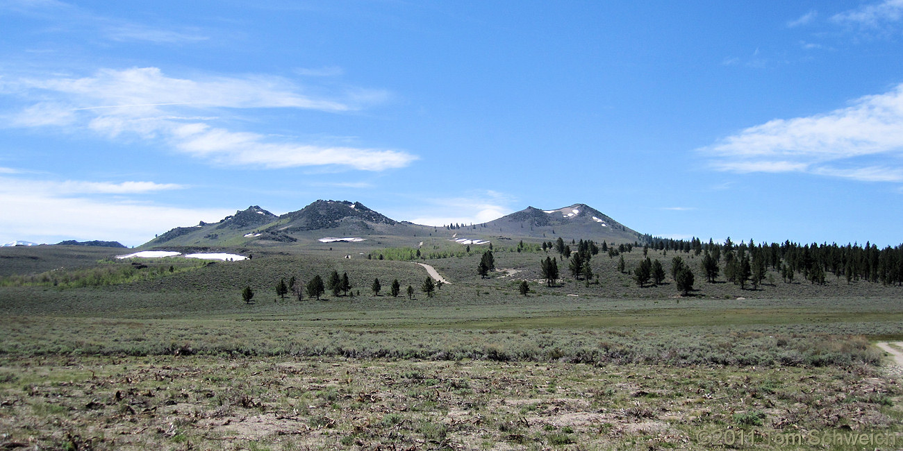 California, Mono County, Sagehen Peak