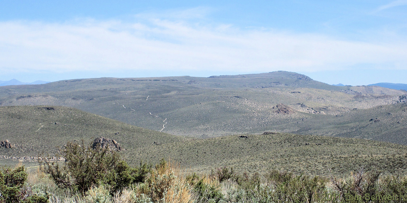 California, Mono County, Cowtrack Mountain