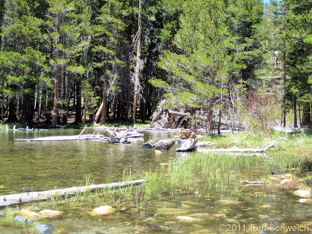 California, Mono County, Parker Lake