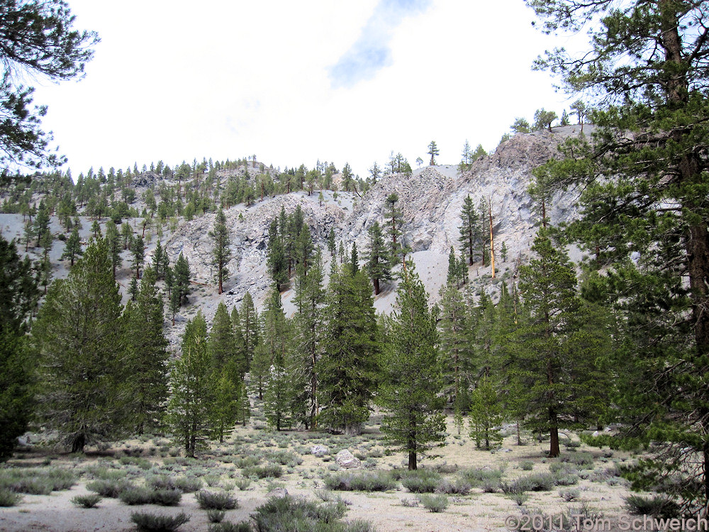 California, Mono County, Punch Bowl