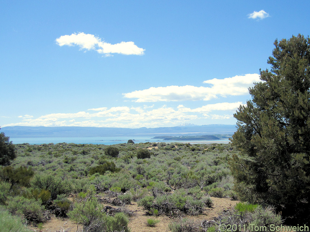 California, Mono County, Mono Basin, Goat Ranch Cutoff