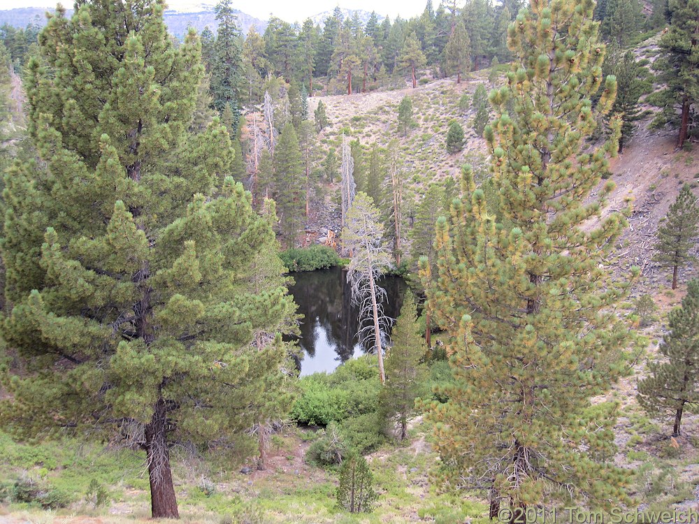 California, Mono County, Inyo Crater Lakes