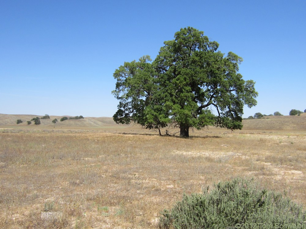 California, San Luis Obispo County, Shell Creek