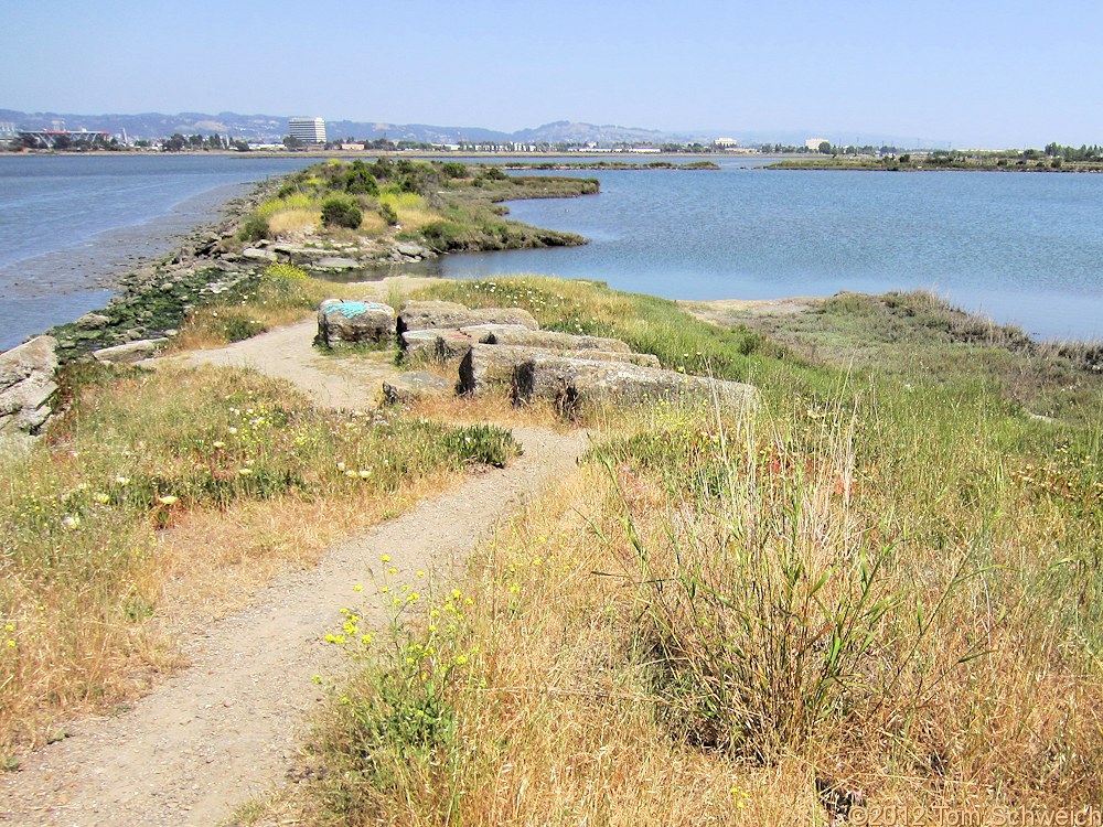 California, Alameda County, Alameda