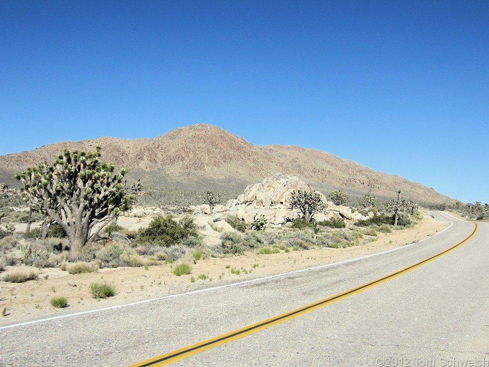 California, San Bernardino County, Cima Dome