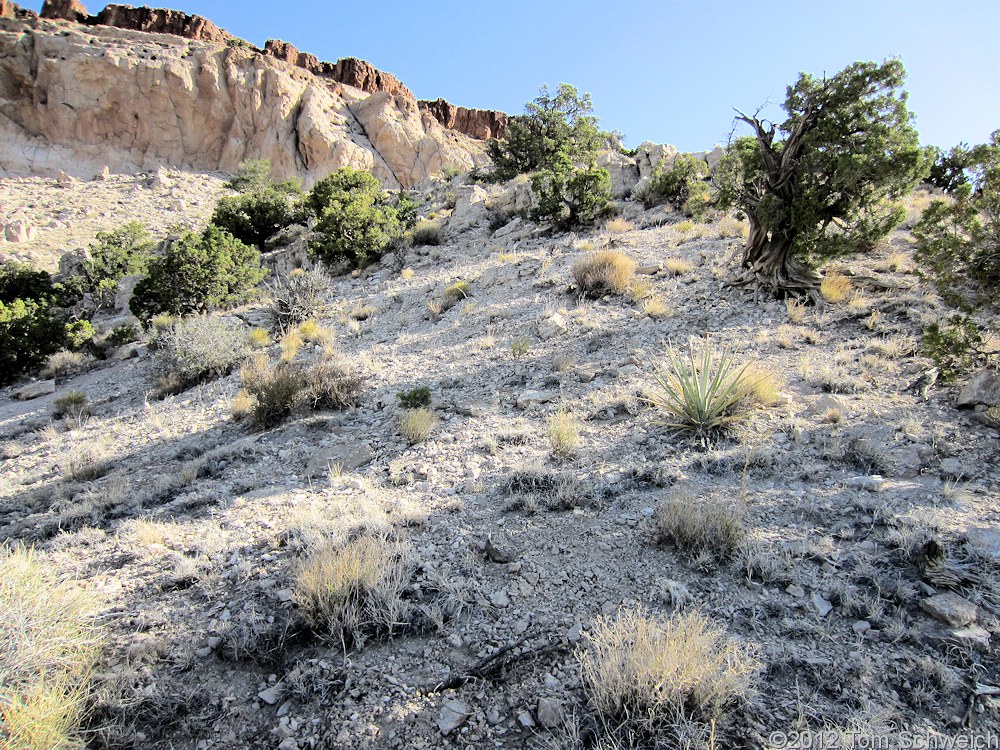 California, San Bernardino County, Pinto Mountain