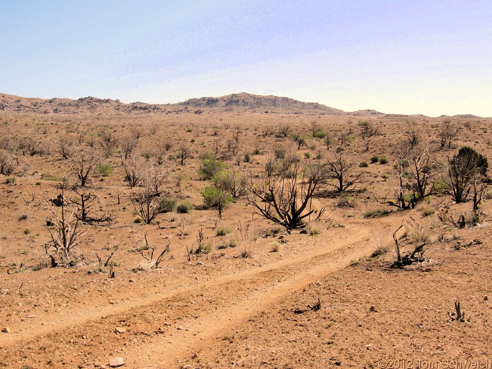 California, San Bernardino County, Wild Horse Canyon