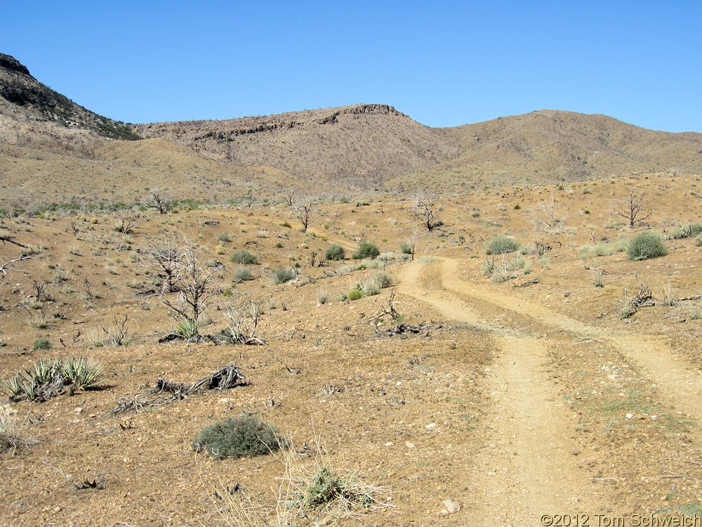 California, San Bernardino County, Wild Horse Canyon