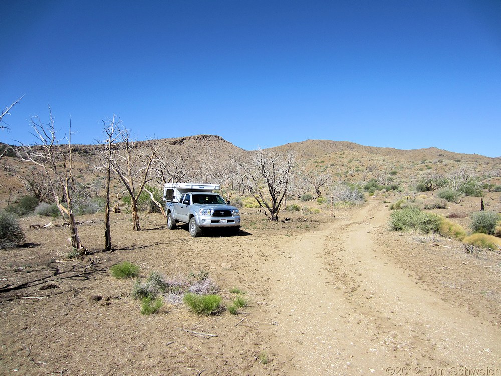 California, San Bernardino County, Wild Horse Canyon