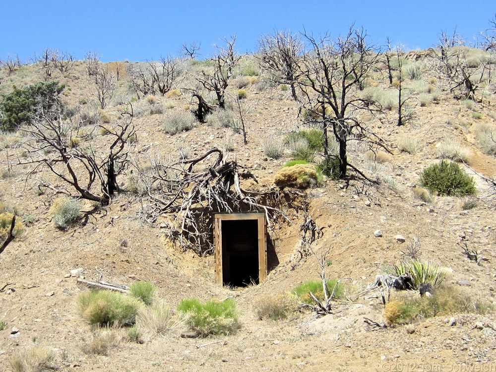 California, San Bernardino County, Winkler's Cabin